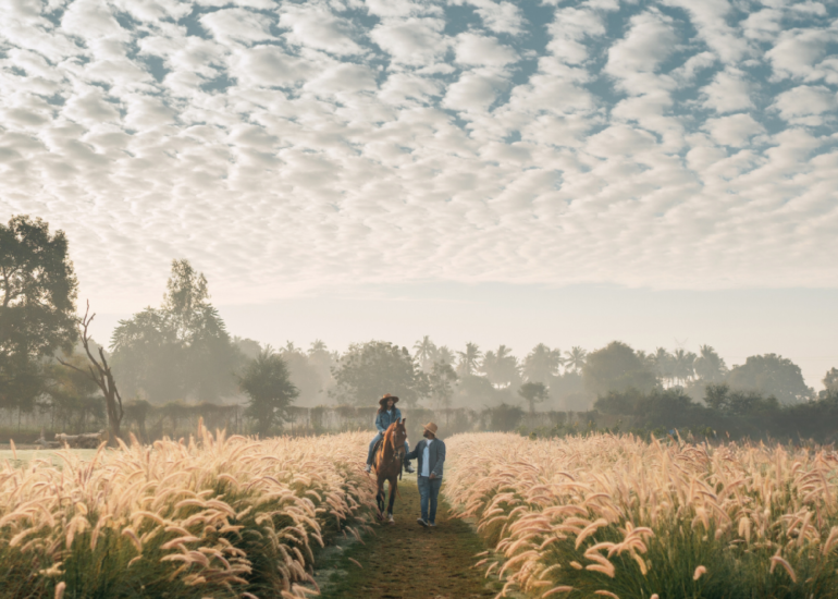 tropical riverside 6